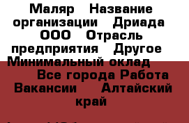 Маляр › Название организации ­ Дриада, ООО › Отрасль предприятия ­ Другое › Минимальный оклад ­ 18 000 - Все города Работа » Вакансии   . Алтайский край